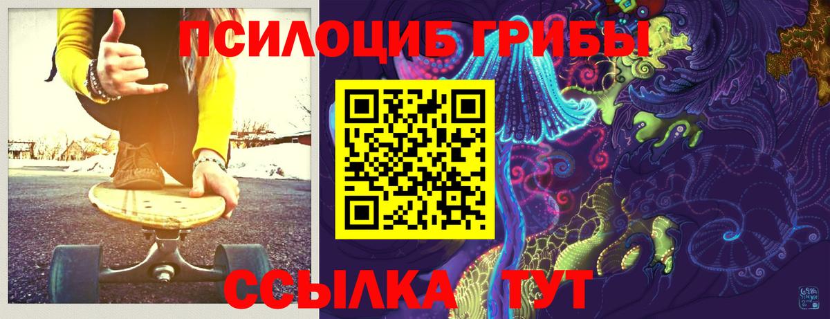 Псилоцибиновые грибы Psilocybe  Вход с VPN  Звенигород  Псилоцибиновые грибы MAGIC MUSHROOMS 