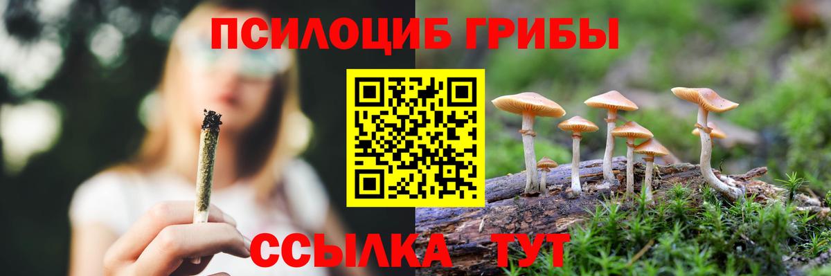 Галлюциногенные грибы Cubensis Звенигород